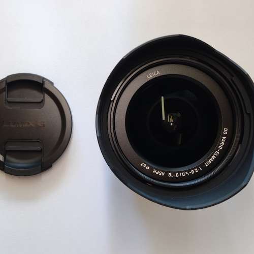 Panasonic Leica DG 8-18mm F2.8-4.0 (for m43)
