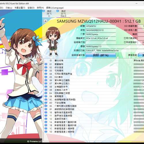 Samsung PM991 512GB M.2 NVMe PCIe SSD 固態硬碟