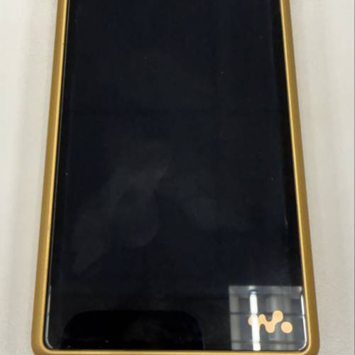 Sony nw-wm1zm2 金磚2代