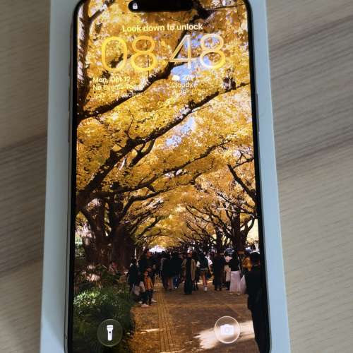(完全無花) iPhone 15 Pro Max 512gb 鈦原色