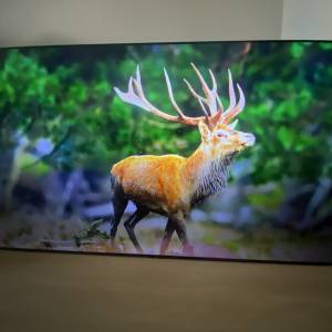 Samsung 三星 85 吋 Crystal UHD 智慧電視 (型號：UA85TU8000JXXZ)