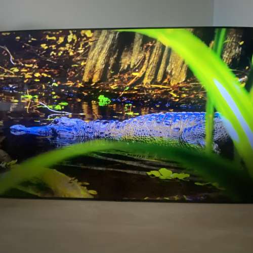 Samsung 三星 85 吋 Crystal UHD 智慧電視 (型號：UA85TU8000JXXZ)