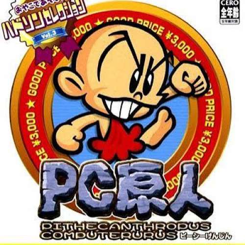 NINTENDO GAME TUBE    PC 原人 GAME