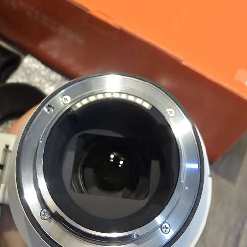 Sony FE 200-600mm f/5.6-6.3 G OSS 鏡頭