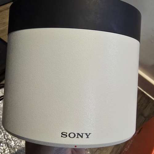 Sony FE 200-600mm f/5.6-6.3 G OSS 鏡頭