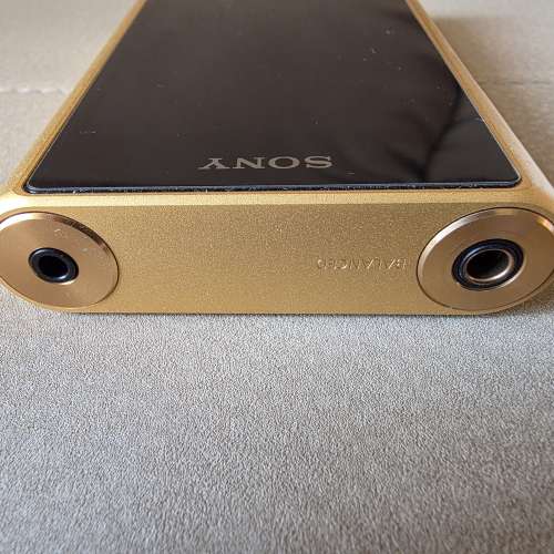 Sony WM1Z 金磚一代