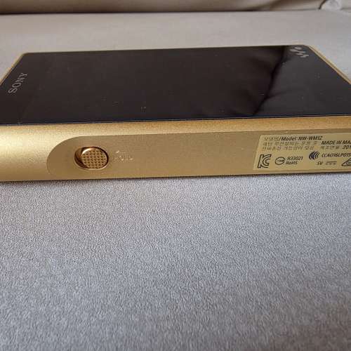 Sony WM1Z 金磚一代