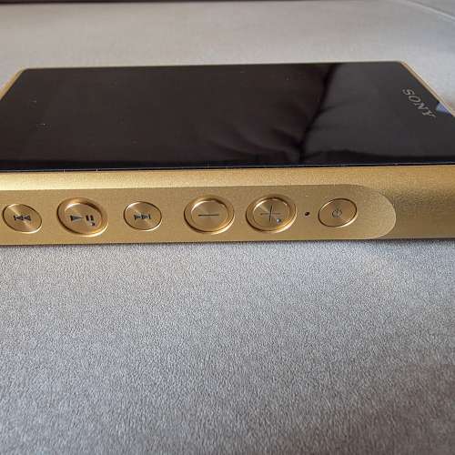 Sony WM1Z 金磚一代