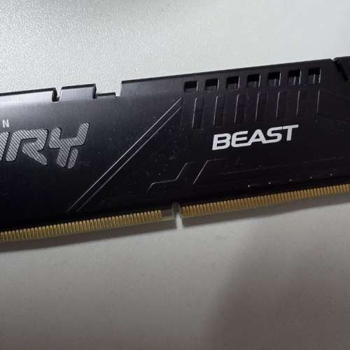 Kingston Fury Beast DDR5 5200 16GB (單條)