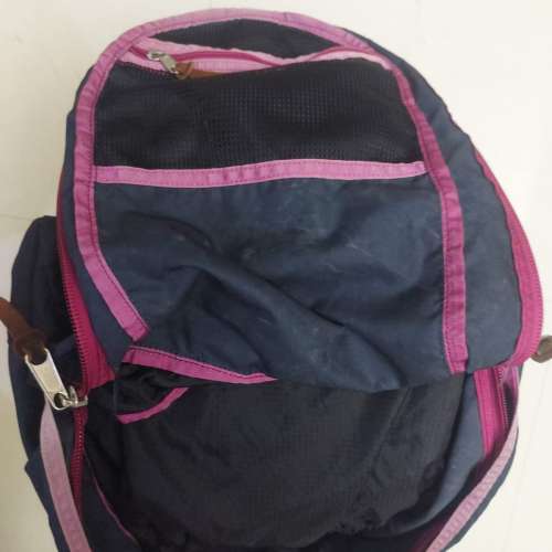 Gregory Day Backpack 深藍粉紅邊 絕版舊logo