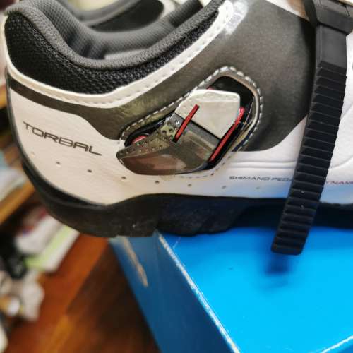 Shimano 單車鞋 正品