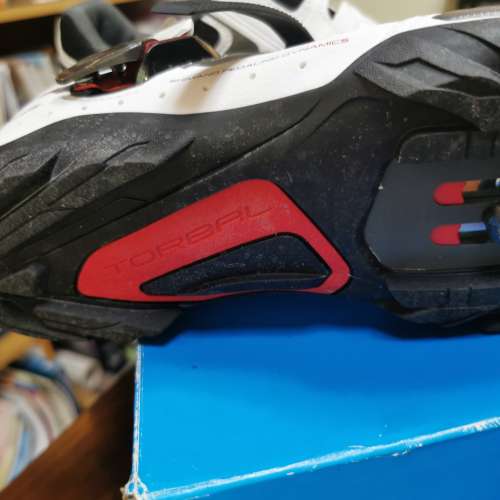 Shimano 單車鞋 正品