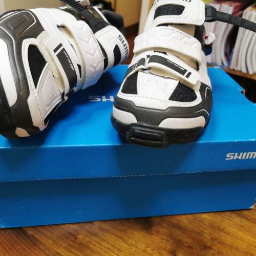 Shimano 單車鞋 正品