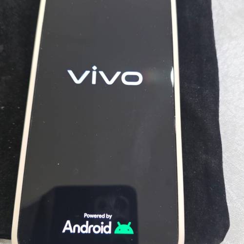vivi x300 pro(12gb 256gb)