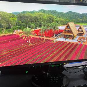 【100%正常】Samsung 24" 超薄電腦芒 LS24F350FH (HDMI + VGA，即買即用)