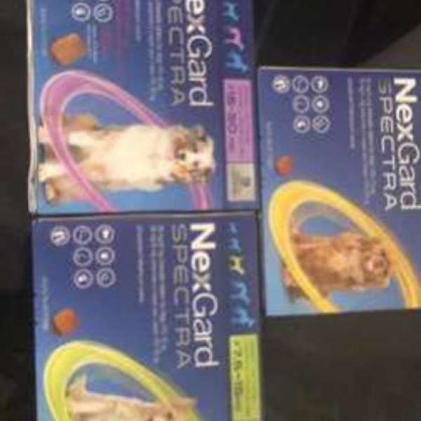 寵物用Nexgard Spectra 預防產品