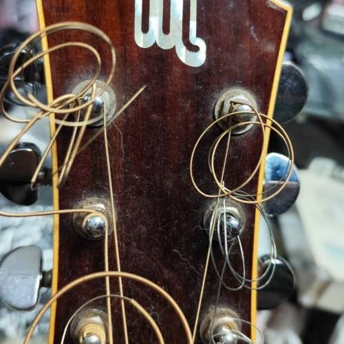 MatthewWan Acoustic Guitar 古典結他