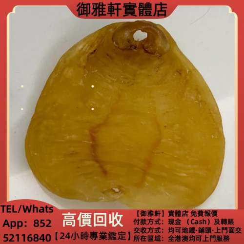 高價上門回收：244克陳年赤嘴湛江厚肉通透 花膠 靚花膠 新會東甲陳皮 鳘魚膠 赤嘴...