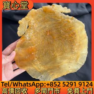 高價回收 大耳赤嘴母膠，花膠，魚膠，魚肚，老花膠，陳年花膠，鳘魚膠，北海母，金...