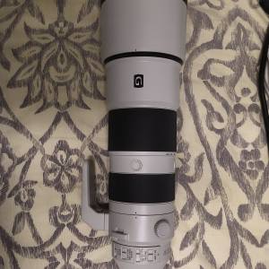 Sony 200-600mm