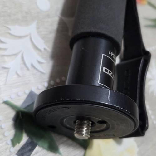 GITZO GM2541碳纖單脚架