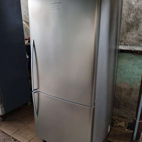 新西蘭Fisher and Paykel 飛魚牌大容量雪櫃