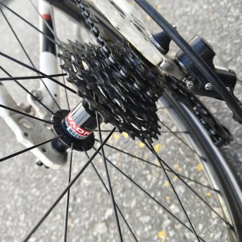 dahon d16双管折車