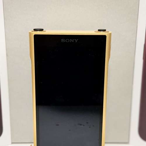 Sony wm1zm2 金磚2