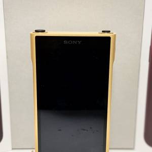 Sony wm1zm2 金磚2