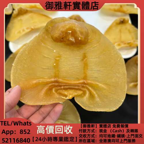 高價上門回收：正南湛江公3兩多老貨乾度超乾，花膠 靚花膠 新會東甲陳皮 鳘魚膠 赤...