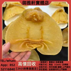 高價上門回收：正南湛江公3兩多老貨乾度超乾，花膠 靚花膠 新會東甲陳皮 鳘魚膠 赤...