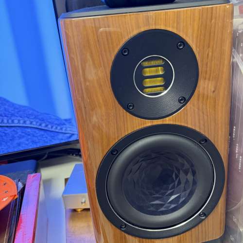 Elac vela bs403木紋色
