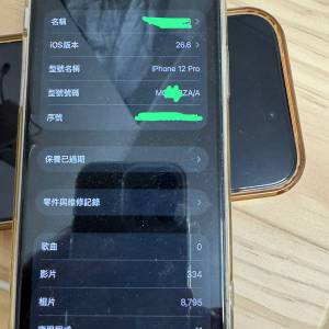 iPhone 12 Pro 256g藍