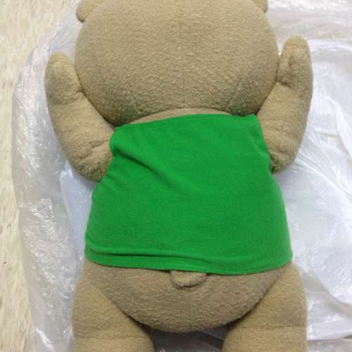 🤖️ TED Doll USED 毛公仔 🤖️
