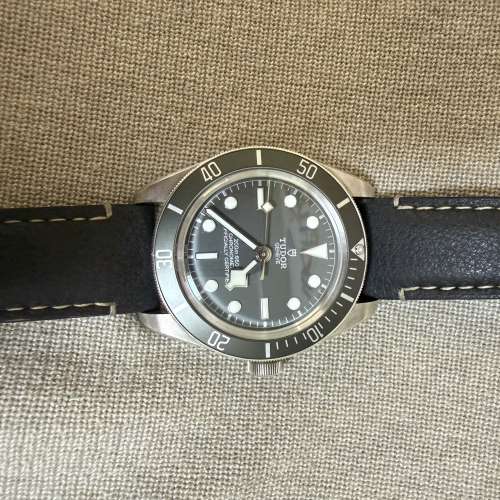 Tudor 帝舵black bay 58 925silver 79010SG