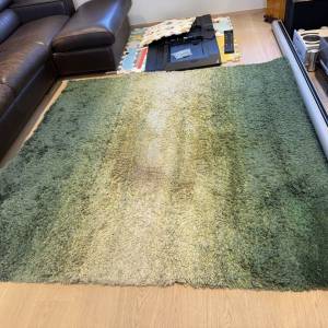 漸變色長毛地毯 綠色系