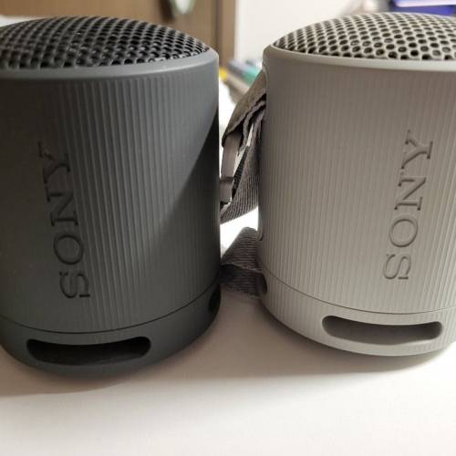 Sony SRS-XB100 藍芽喇叭