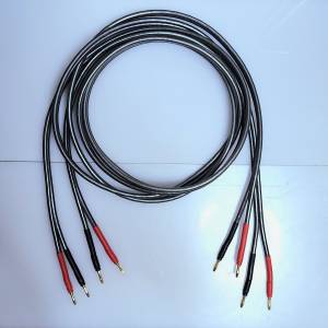 美國 Wireworld Orbit 5 HiFi 發燒喇叭線 8呎一對