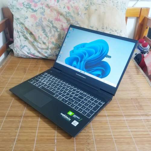 Thunderobot TR 911 Air 電競筆電 i5 10300H 16+512 GTX1650