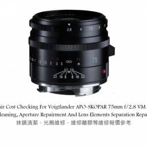 Repair Cost Checking For Voigtlander APO-SKOPAR 75mm f/2.8 VM Lens Cleaning