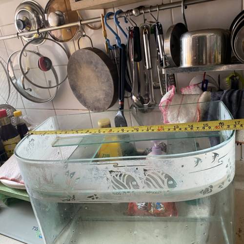 養寵物工具（魚類）