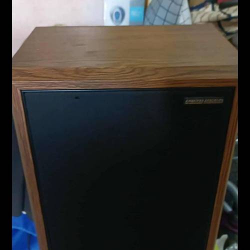 American Acoustics speakers，整體企理吾太殘，有歲月底部爆邊，其中一隻頂有崩，...