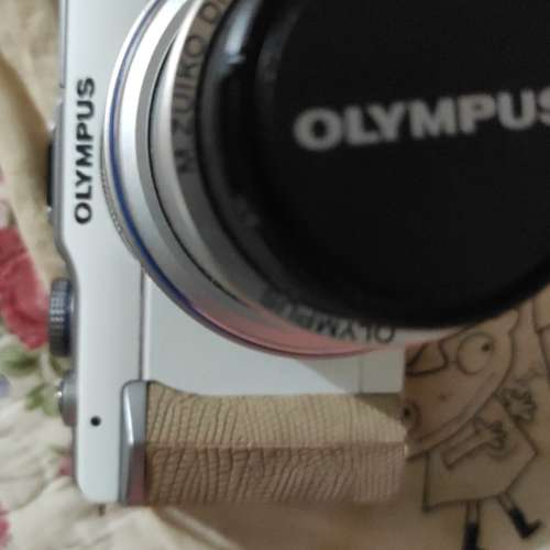 epl1 with olympic 14-45mm lens
