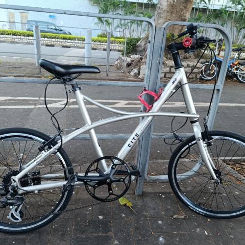 CITE Pioneer 20吋海豚架小徑車 (銀色)