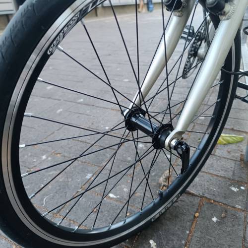 CITE Pioneer 20吋海豚架小徑車 (銀色)