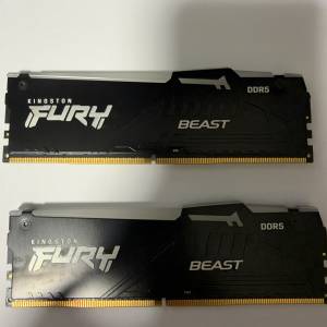 Kingston Fury Beast RGB DDR5 5600 64GB Kit (2x32GB)