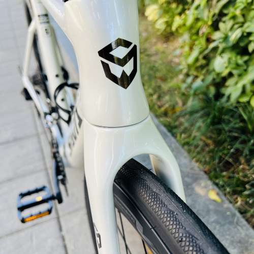 白色 47碼 2026 SAVA A7L 24速油剎桶軸碳刀碳纖維公路車 送水架前後蛙燈