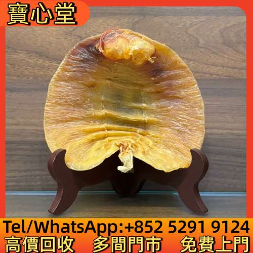 高價回收 本港野生湛江赤嘴公膠，花膠，魚膠，魚肚，老花膠，陳年花膠，鳘魚膠，北...