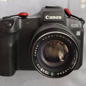 Canon EOS R + 45mm 1.4