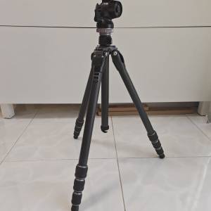 Gitzo 1號碳纖維三腳架(GT1542) 連 雲台套裝(GH1780QD)